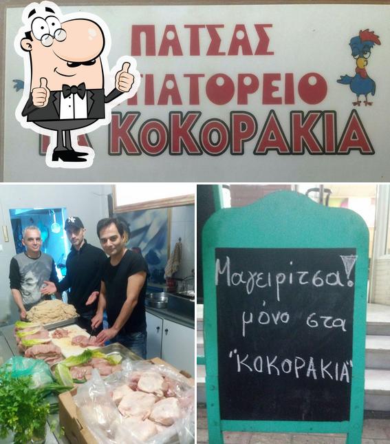 ΤΑ Κοκορακια