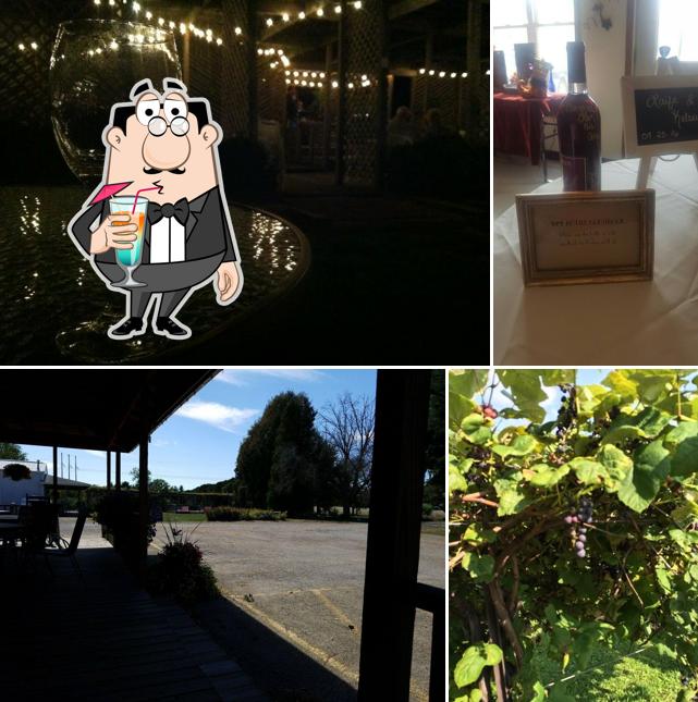 Alto Vineyards