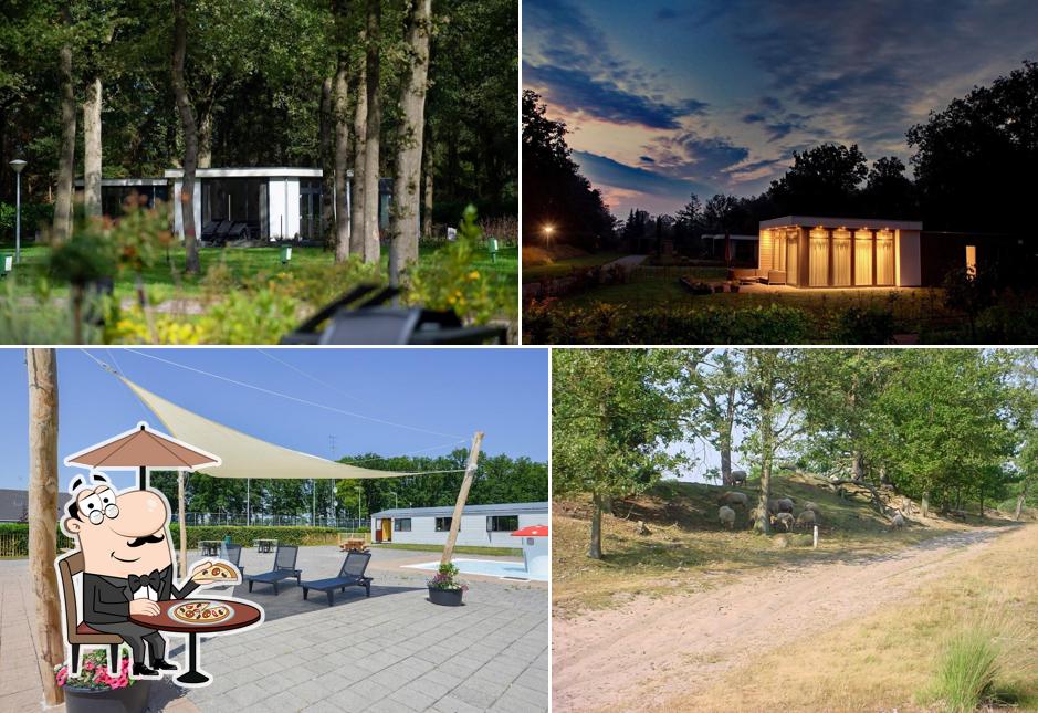 Drenthe Country Park