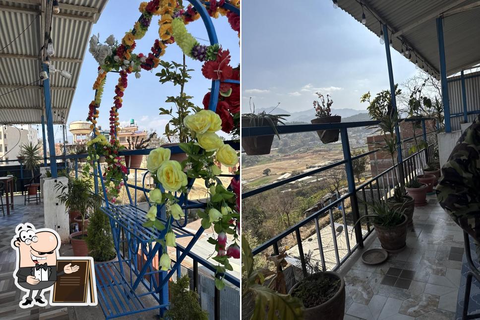 Viewpoint, Dhapakhel