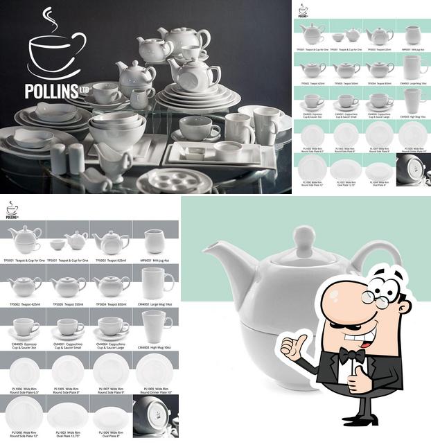 Pollins ltd