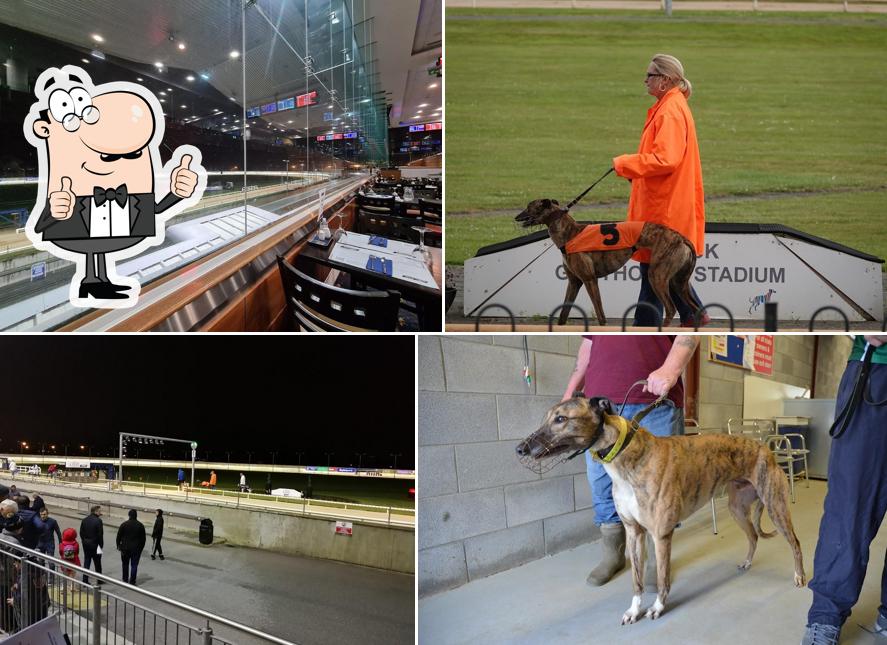 Limerick Greyhound Stadium