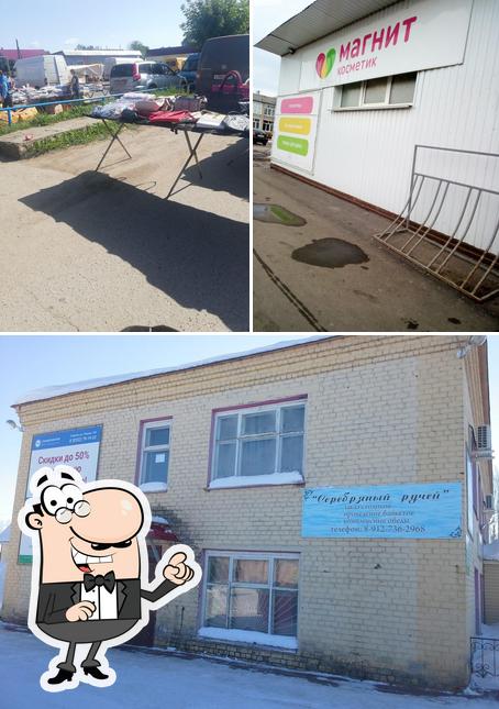 Серебряный ручей