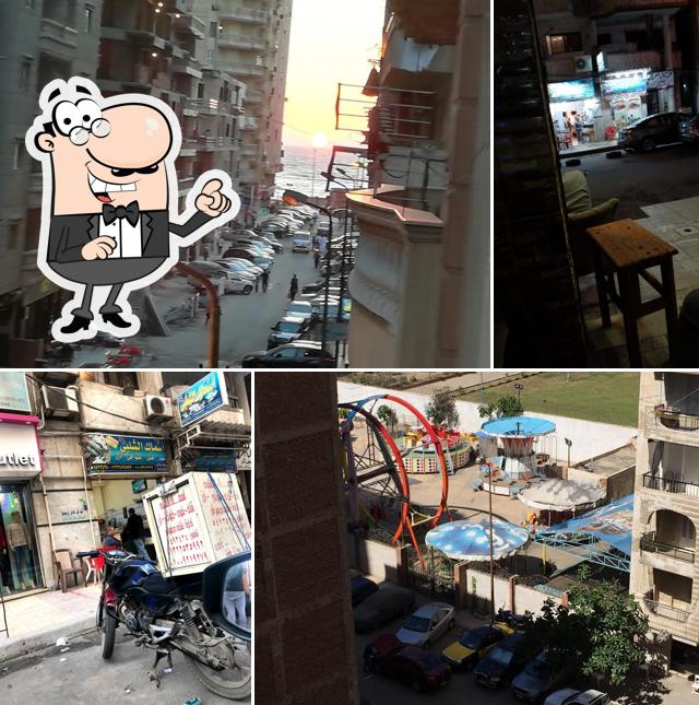 أسماك الشلبى