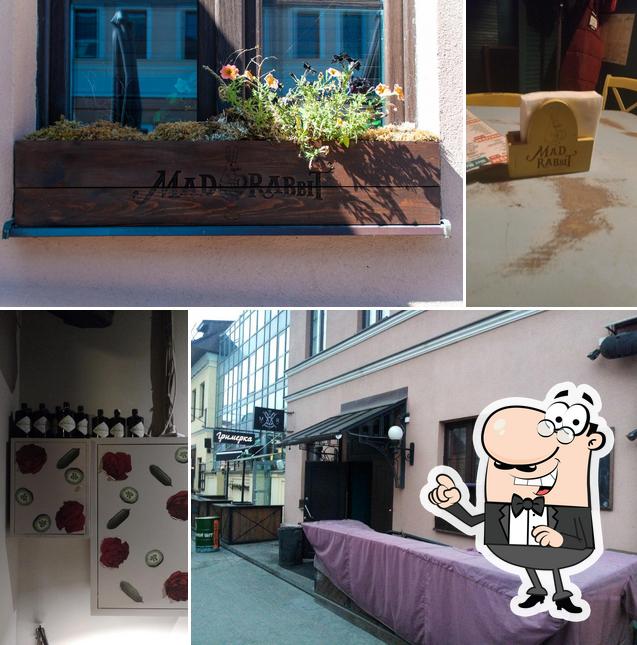 Бар Mad Rabbit