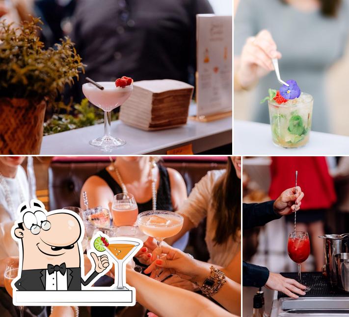 MotionBar - Bar mobile - Cocktails