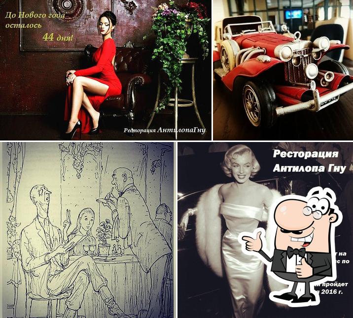 Антилопа Гну