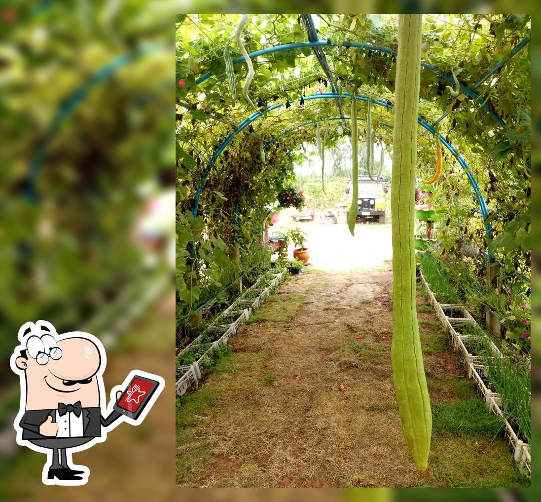 สวนอาหารบ้านทิพย์