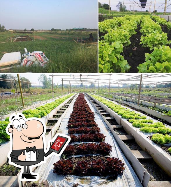 The Finnature Farm