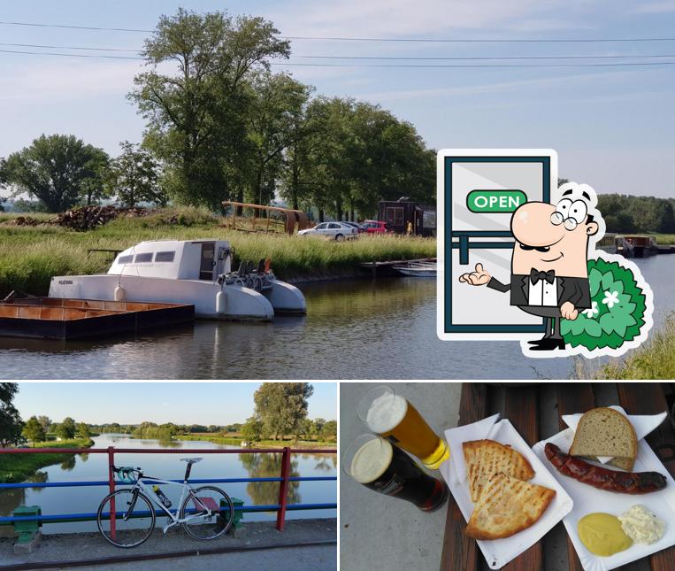 Rejda Spitihněv