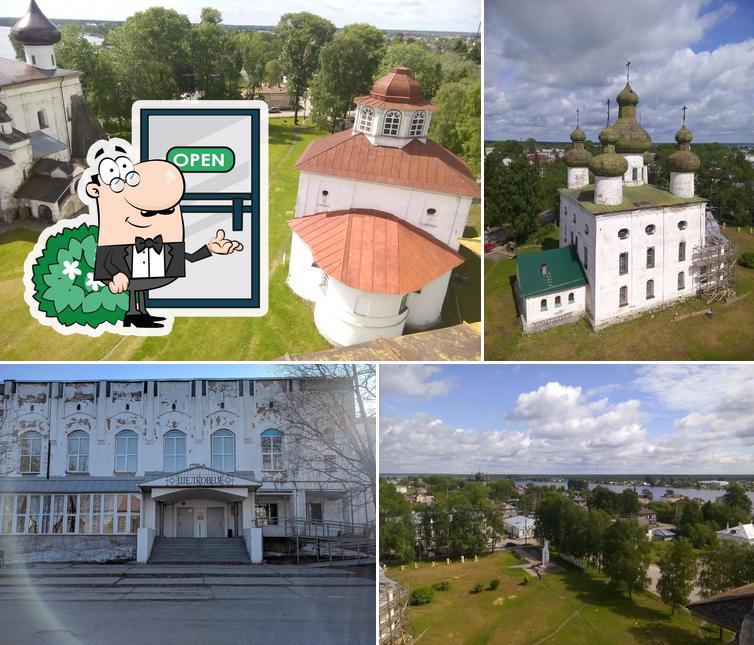 Шелковня