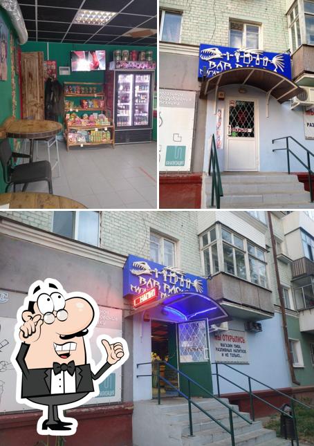 Барракуда