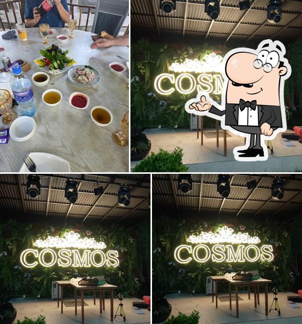 Cosmos