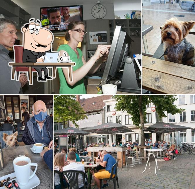 Den Augustijner, uw FAVO café in Bree