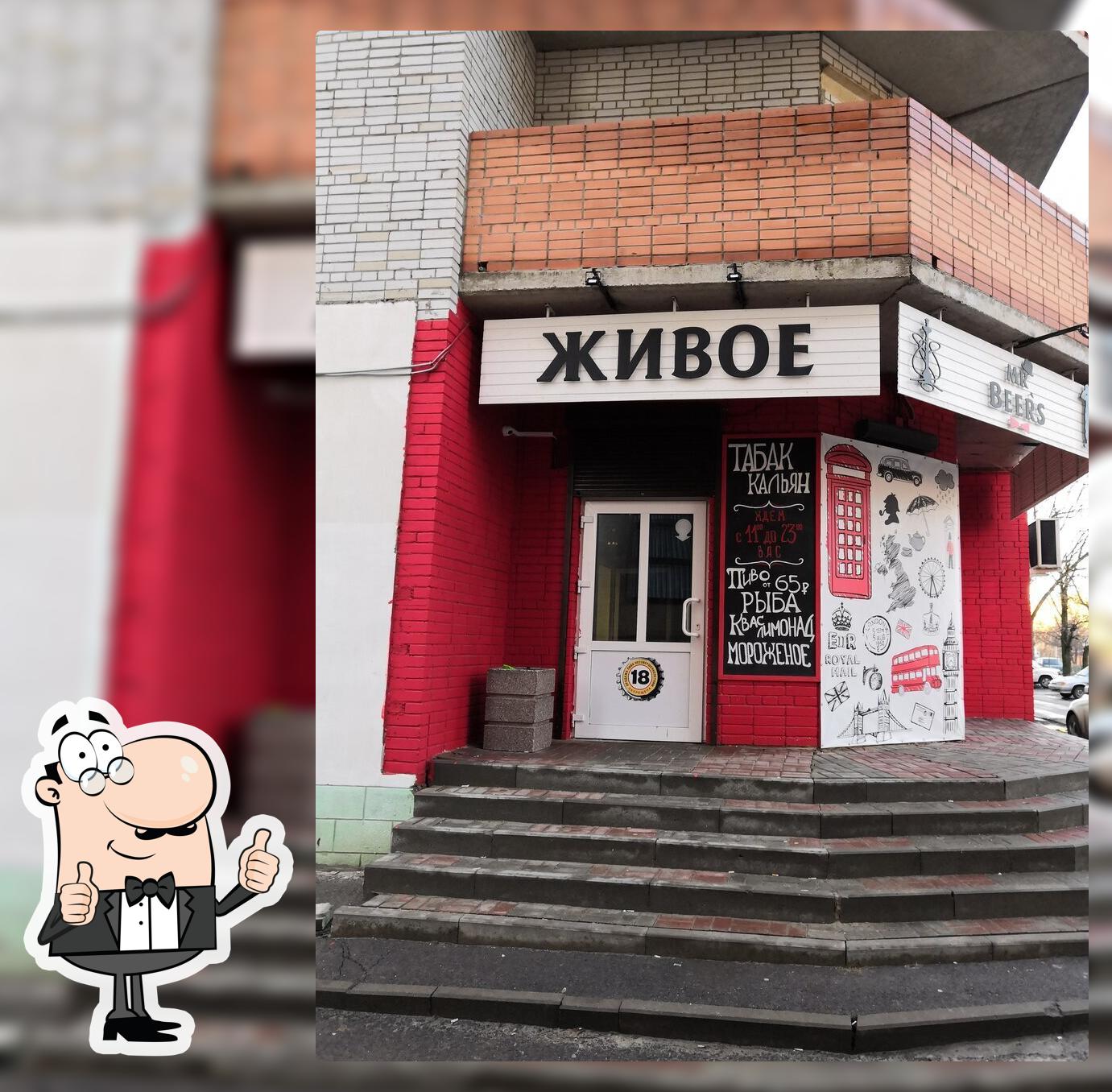 Mr. Beer's