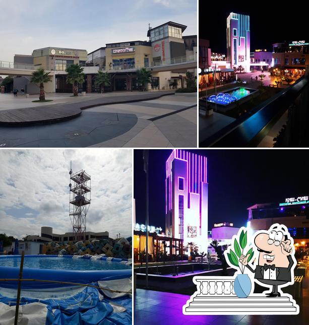 Сочифорния