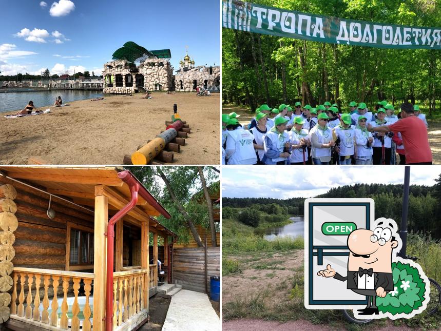 Чайка