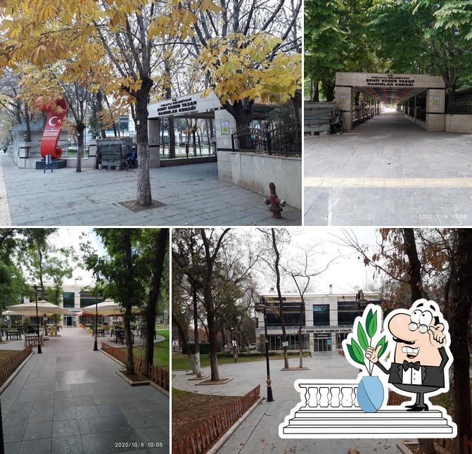 Hanımlar Konağı