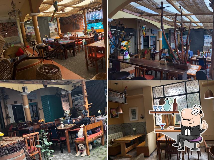Coo Coo's Diner Restaurant