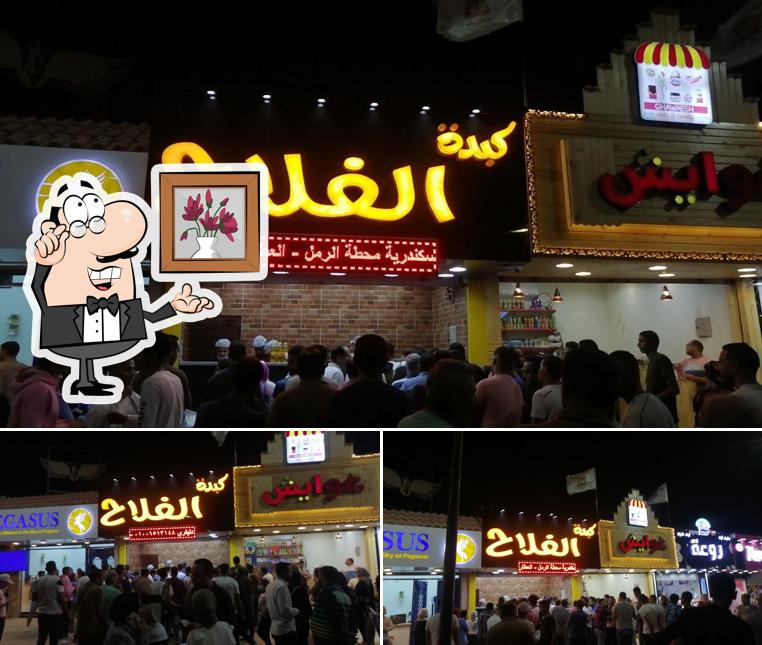 كبده الفلاح