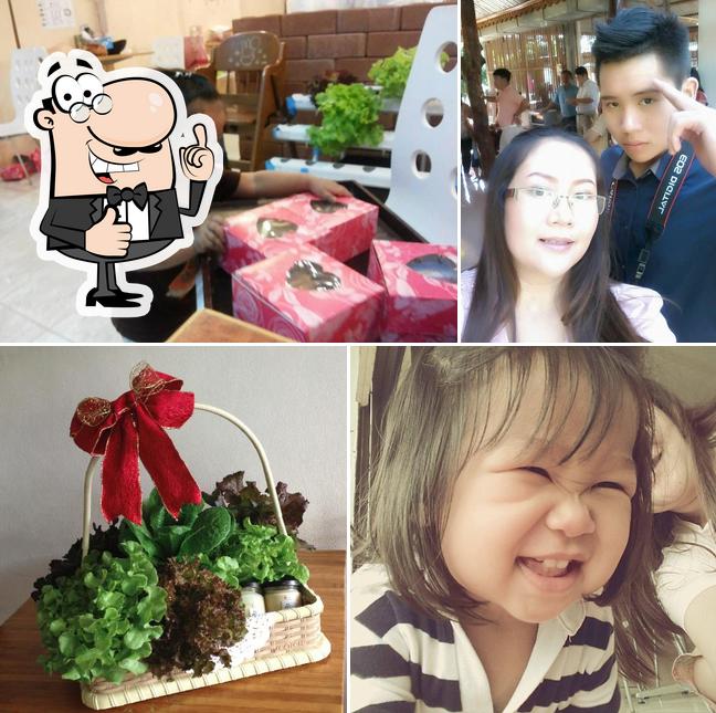 บ้านสลัดเคเทอริ่ง