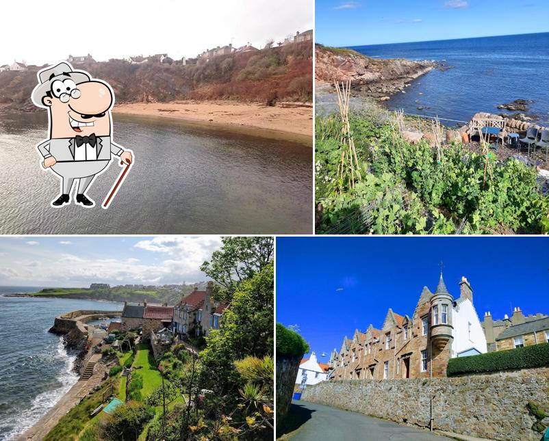 Crail Harbour Gallery & Tearoom