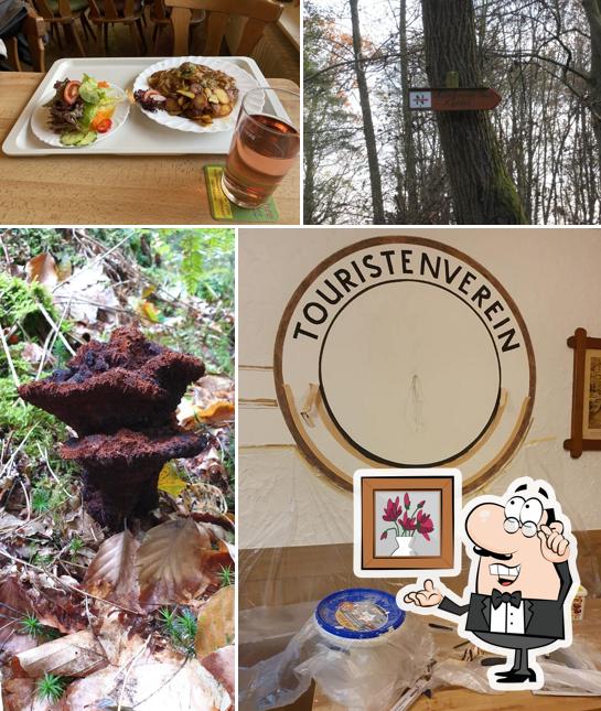 The Nature Friends House