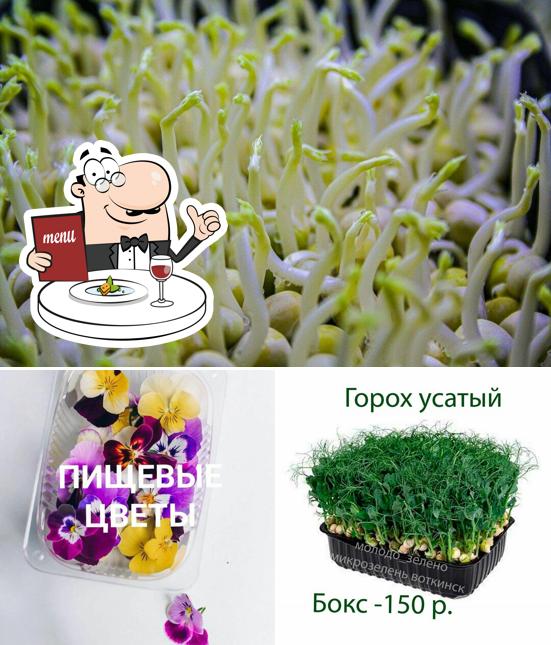 Микрозелень_Молодо_Зелено_Воткинск