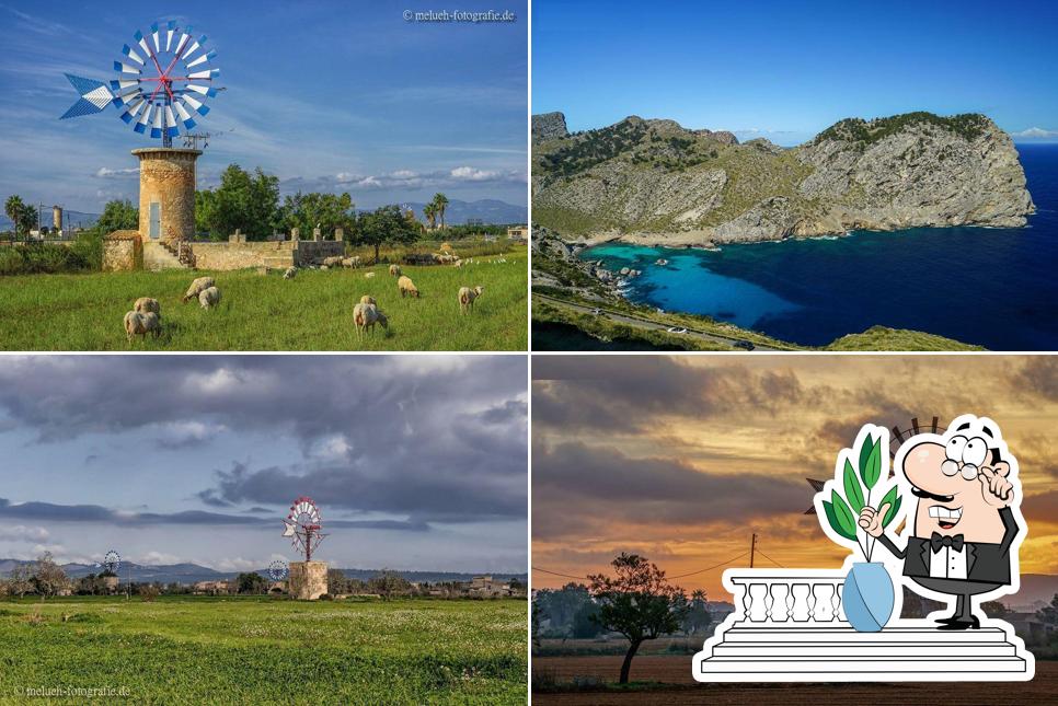 Moli Mallorca