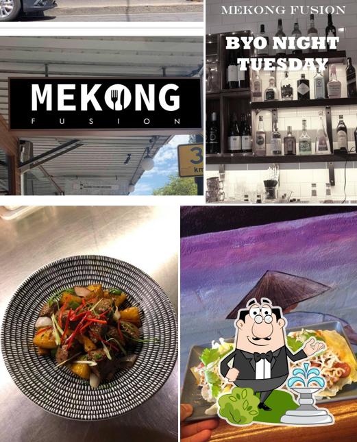 Mekong Fusion