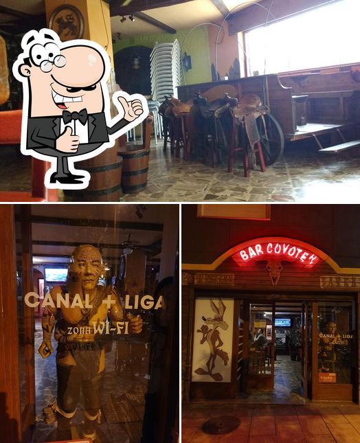 Bar Coyote
