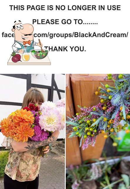 Black & Cream Coffee Bar