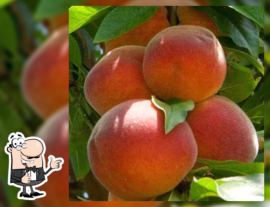 The Claxton PEACH