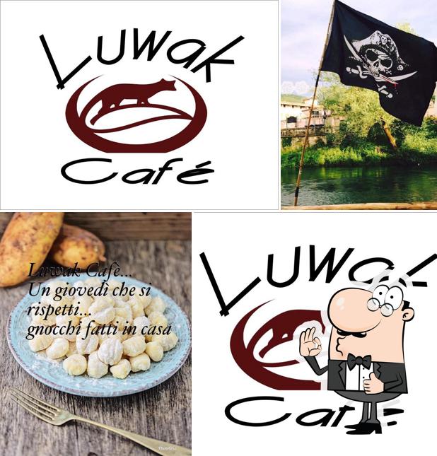 Luwak