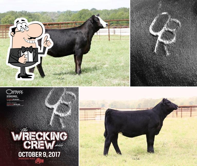 Outback Ranch