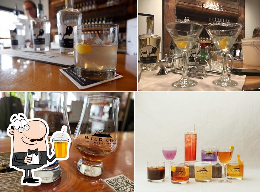 Wild Life Distillery & Cocktail Bar