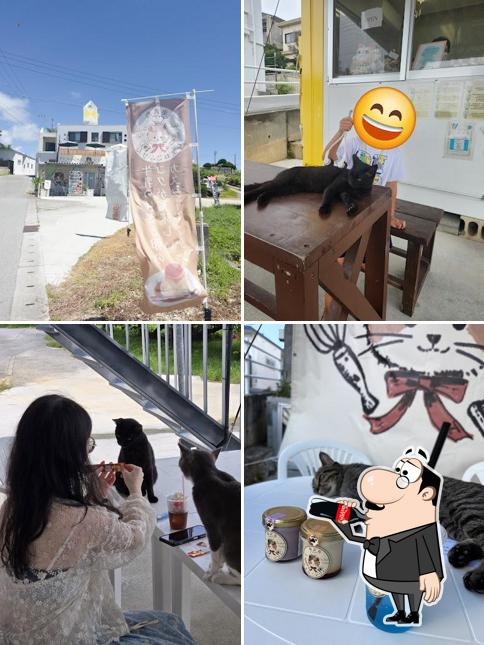 GELATOPUDDINGCAFE奥武島しまねこぷりん