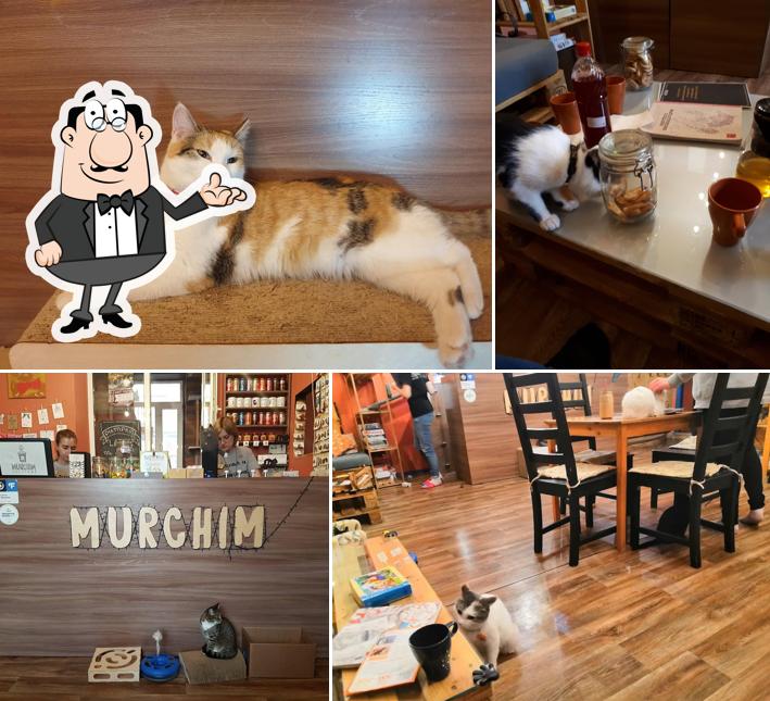 Murchim