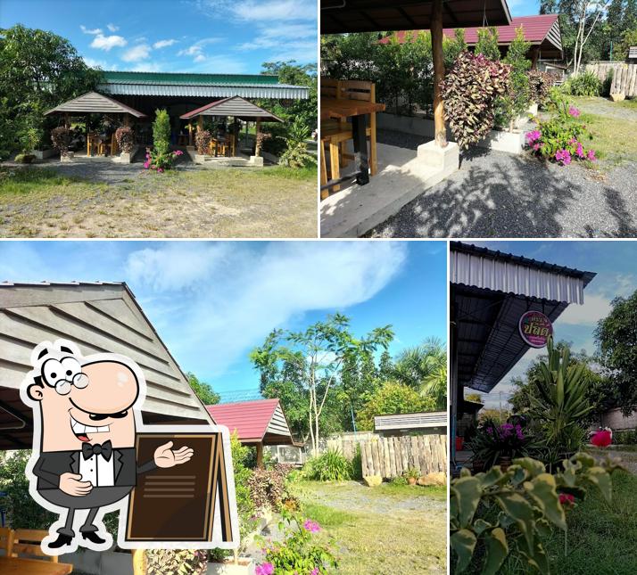 ร้านอาหารครัวปลัด