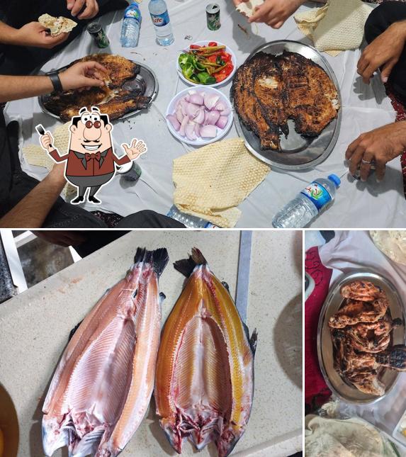 اسماك مسكوف بنجوين Salamon Penjwen
