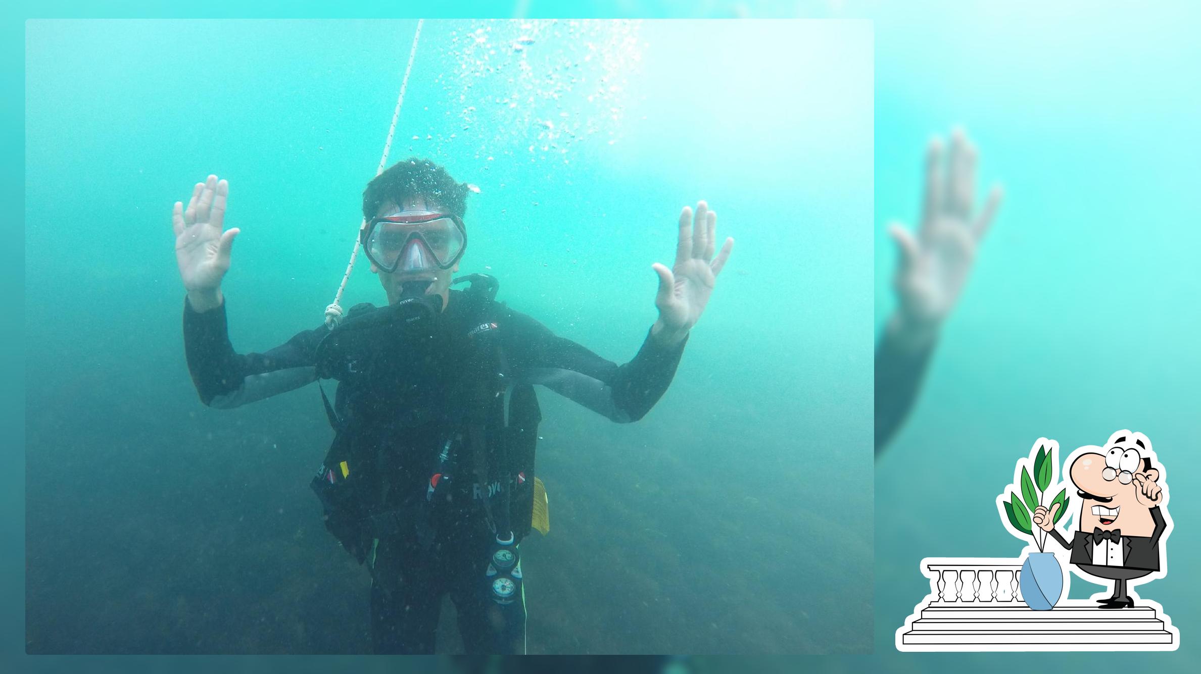 Haven Under the Sea