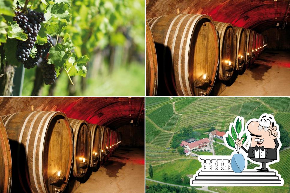 Wein Events & Action GmbH