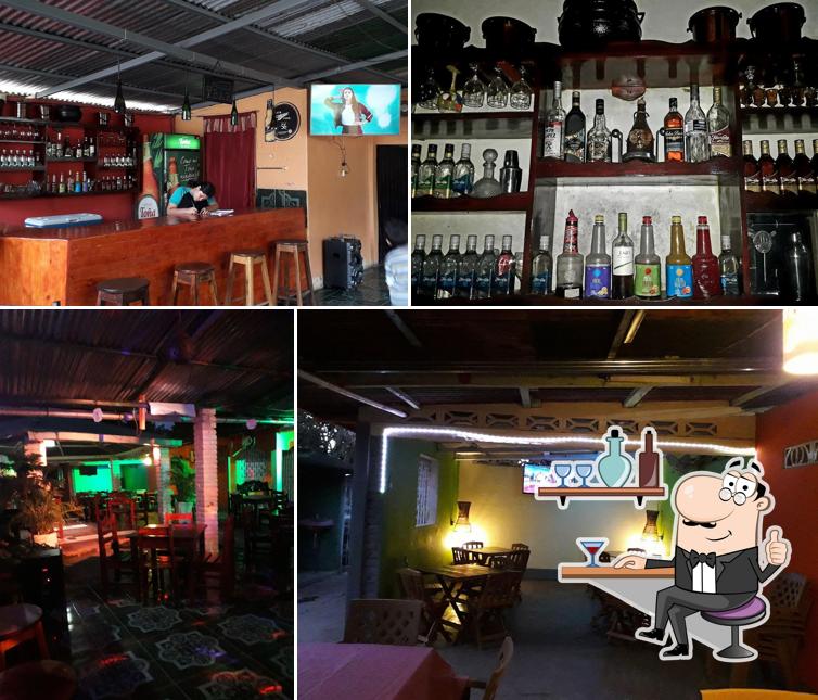 Bar Cactus
