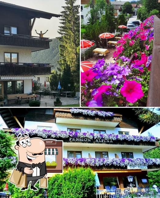 Pension Alpina