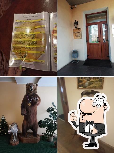 Золотой ручей