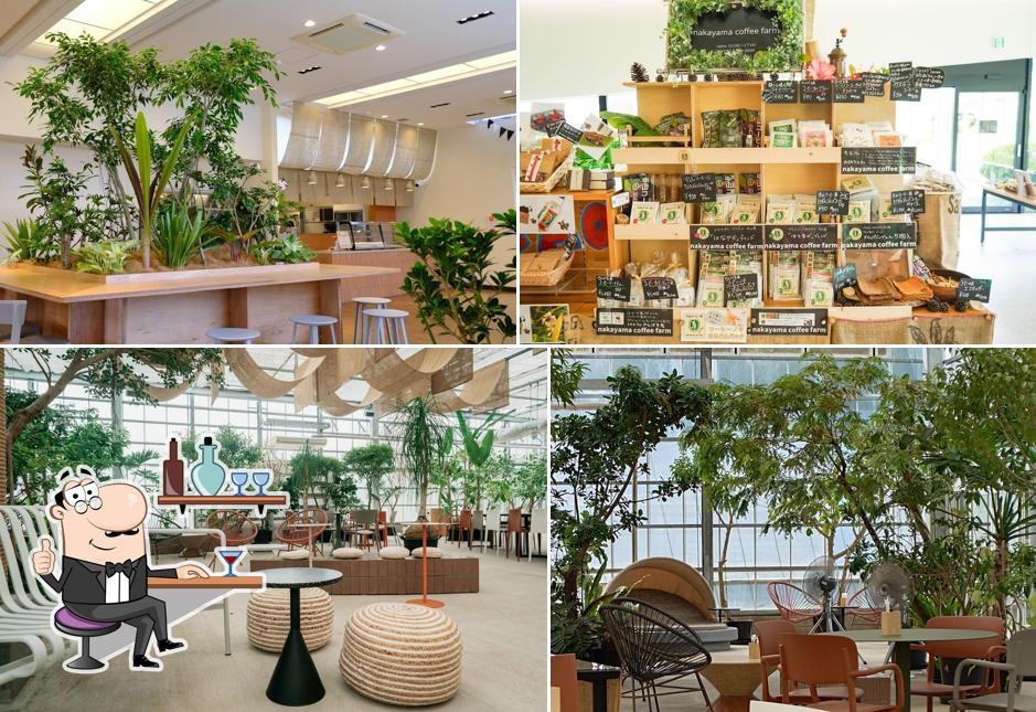 Nago Agri Park