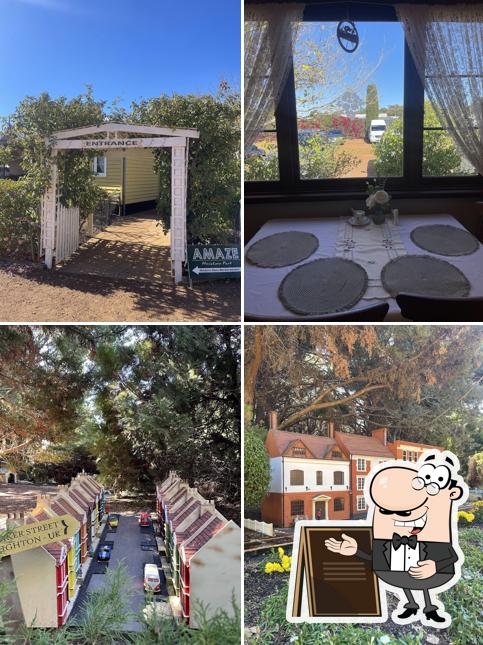 Tiny Teapot Cafe