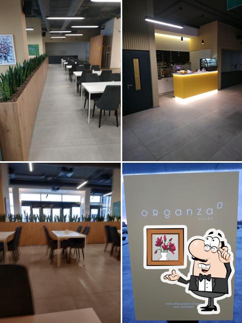 Органза бистро