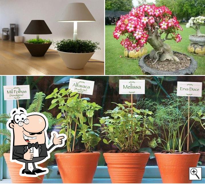 Green Earth Mini Horta