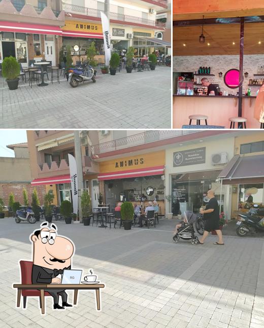 Animus